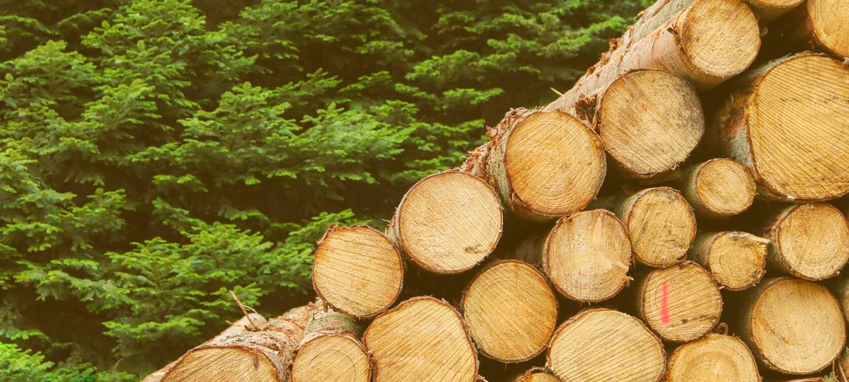 Improve Your Logging Process with Fluentd, Elasticsearch, and Kibana